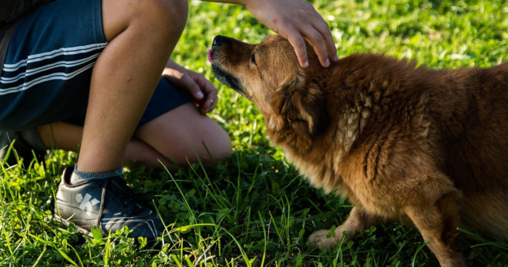 dog and master