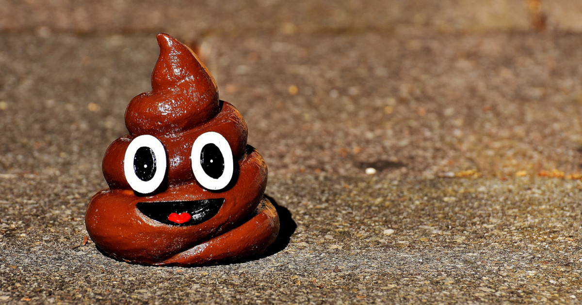 What Does Snake Poop Look Like? The Most Powerful Snake Repellers